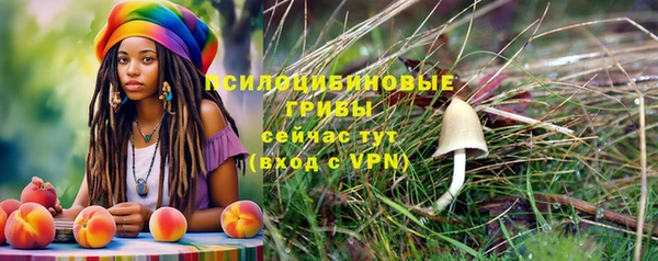 герыч Михайловск